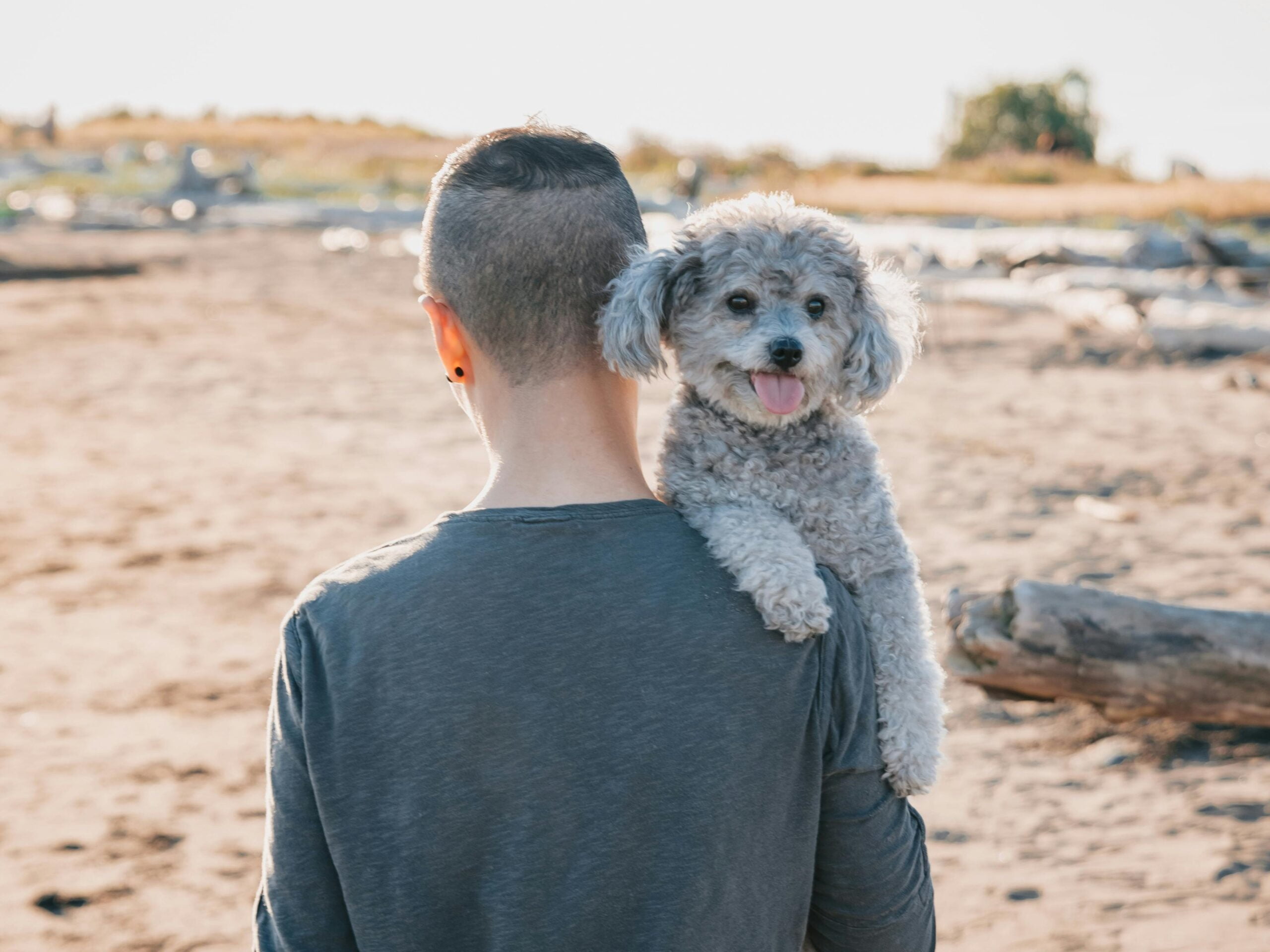Najpsiowszego w DZIEŃ PSA – sprawdź naszą niespodziankę