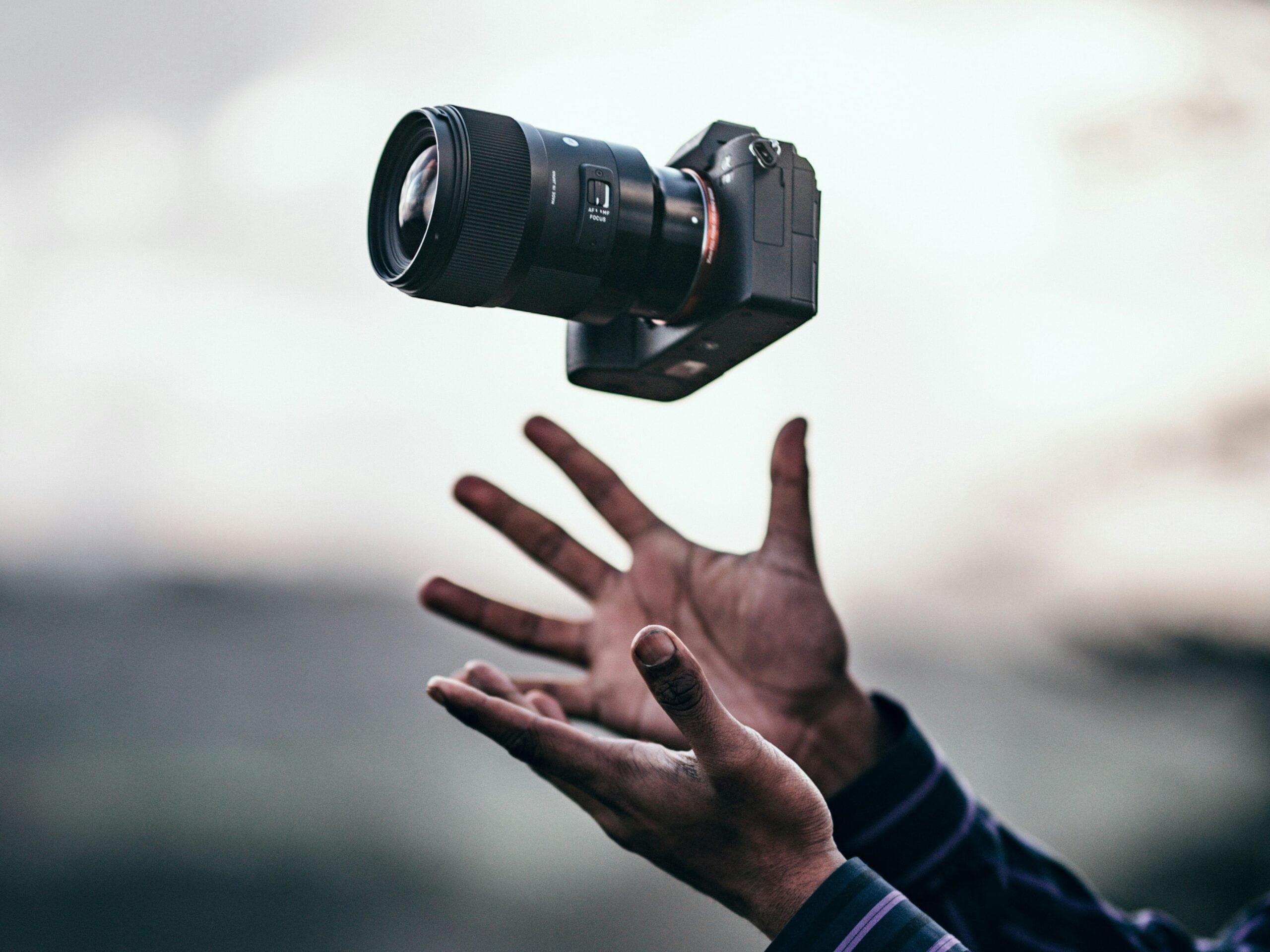 Umowa na sesję zdjęciową dla psa