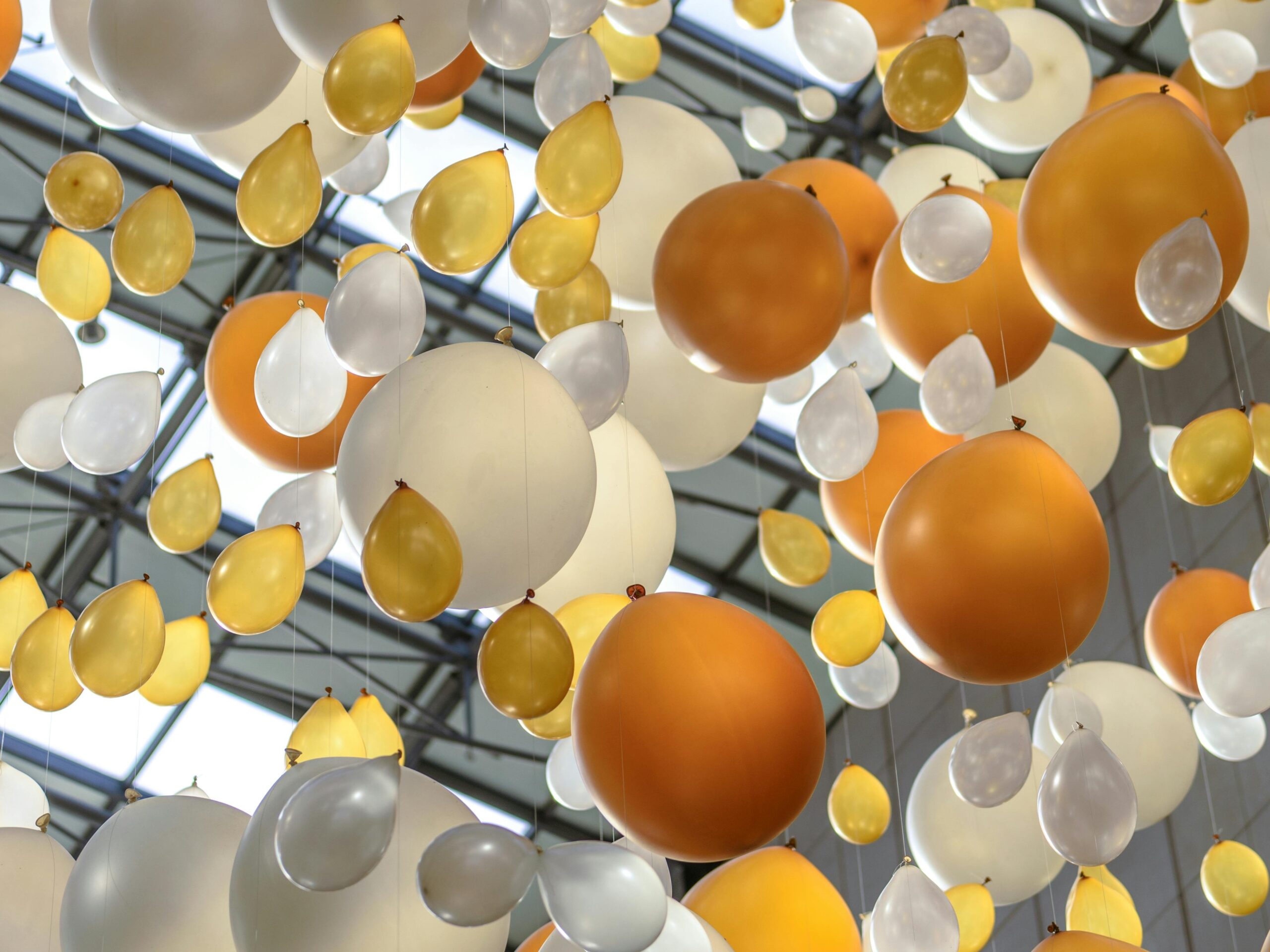 Psi Paragraf oraz Koci Paragraf chronionymi znakami towarowymi