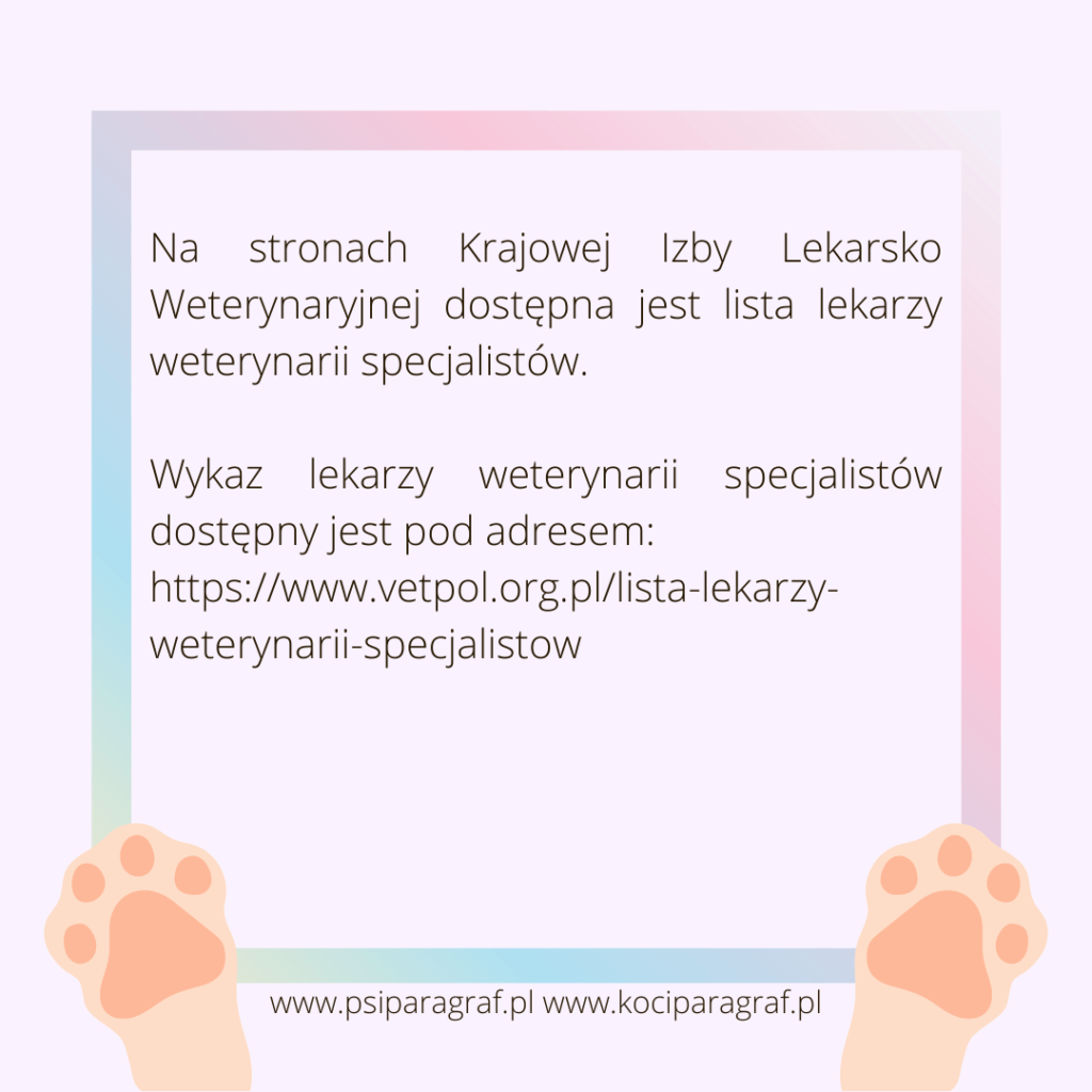 Sprawdź lekarza weterynarii