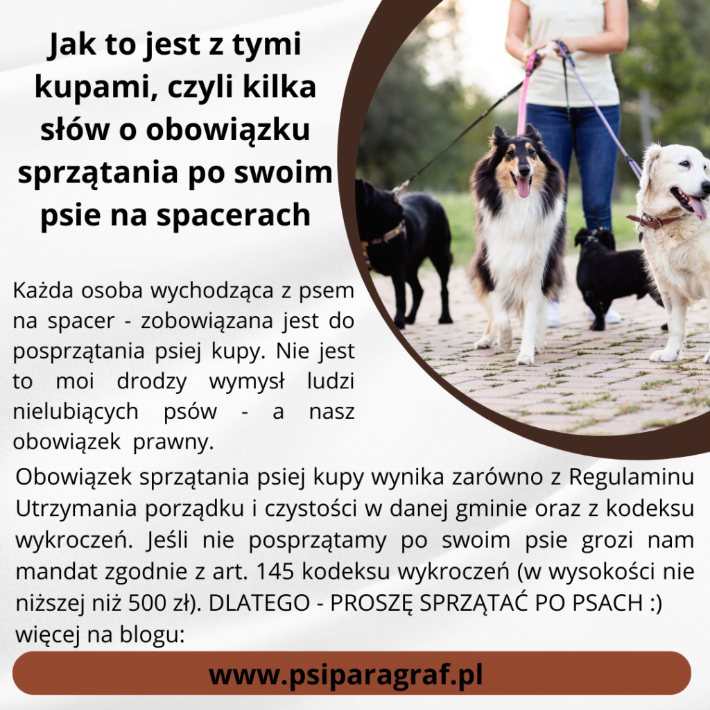 Obowiązek sprzątania po psie