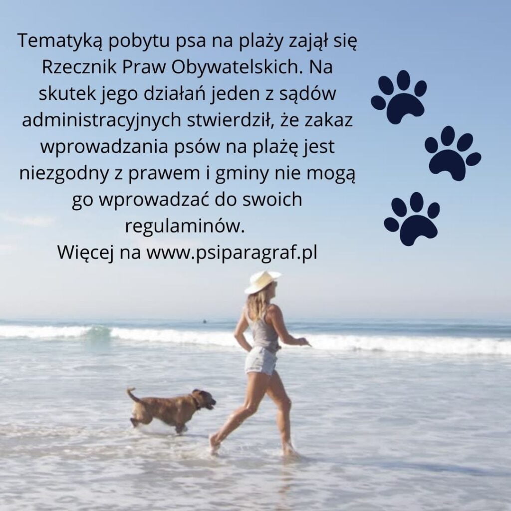 Pies na plaży, czyli czy możemy w Polsce plażować z psem