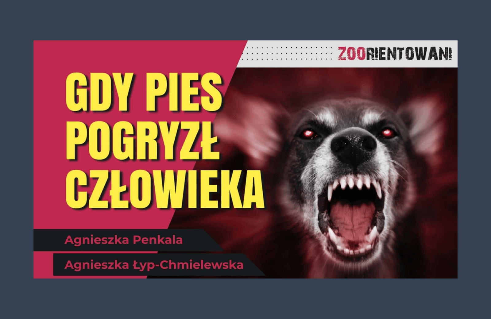 pies pogryzł człowieka
