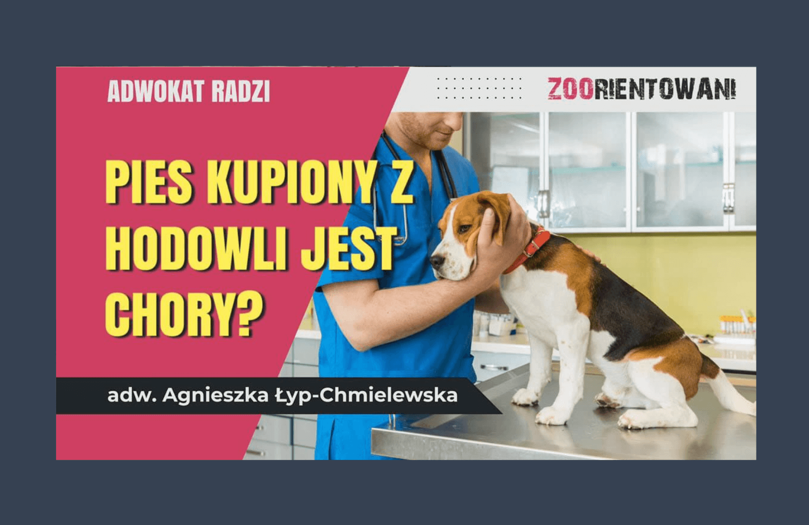 Kupiłem chorego psa rasowego z hodowli
