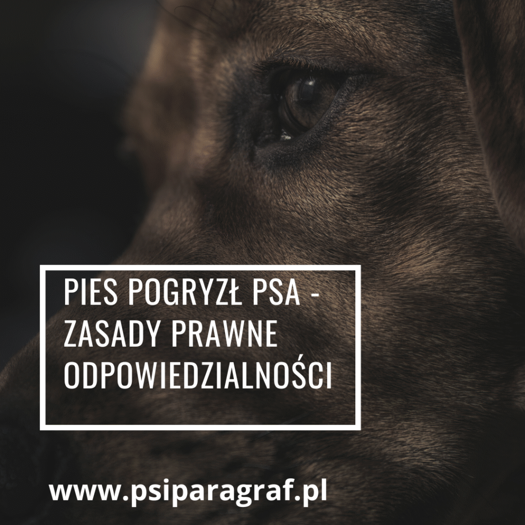 Mój pies został pogryziony 