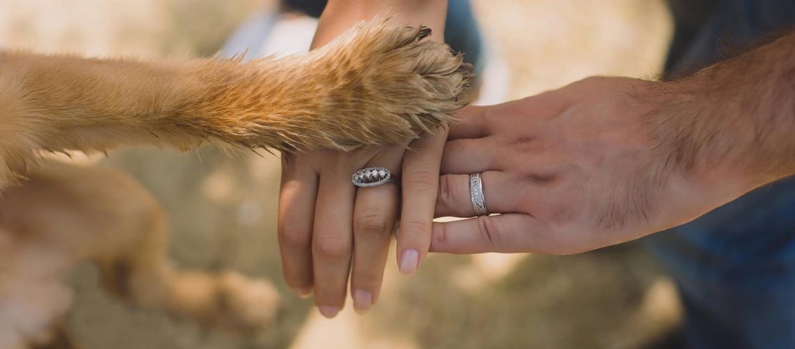 26 sierpnia Międzynarodowym Dniem Psa