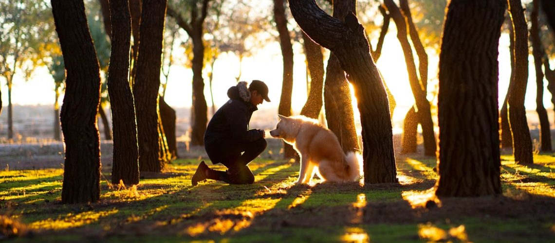 Czy hodowca powinien znać prawo