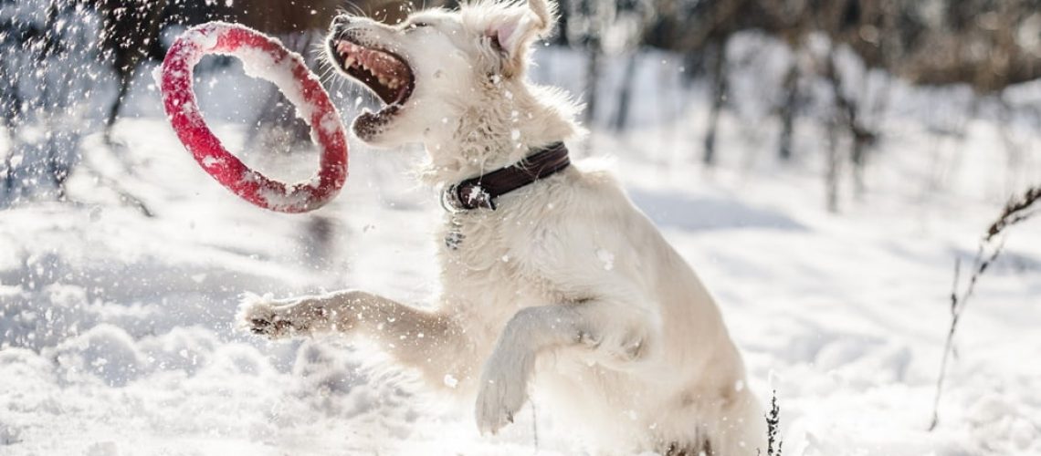 Harmonogram szkoleń