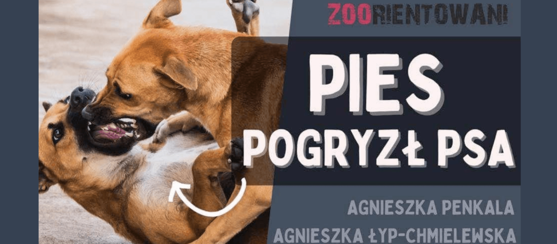 Kiedy pies pogryzł psa