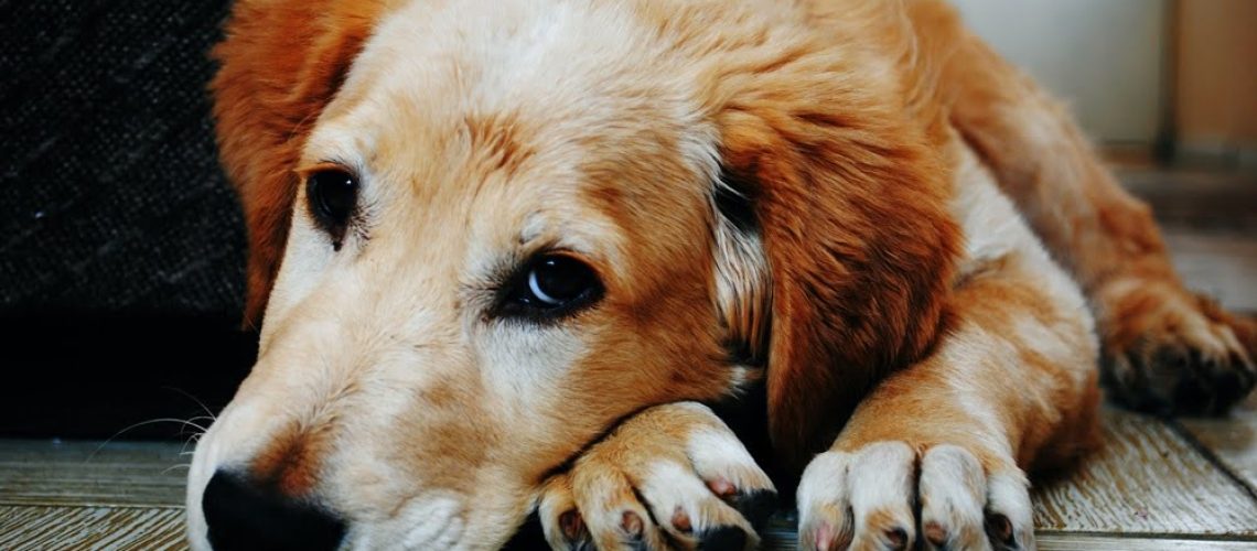 Kiedy warto podpisać ugodę z nabywcą