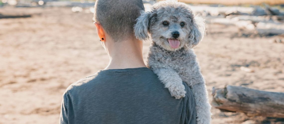 Najpsiowszego w DZIEŃ PSA – sprawdź naszą niespodziankę