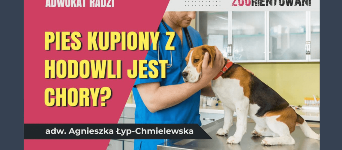 Kupiłem chorego psa rasowego z hodowli