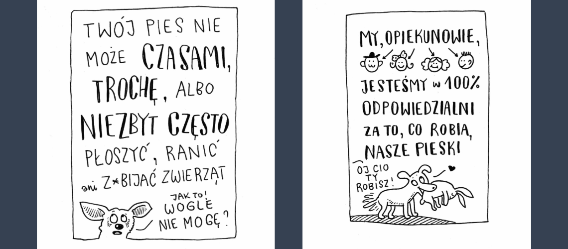 Pies na spacerze w lesie