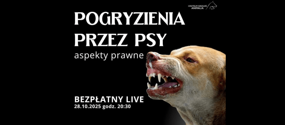 Pogryzienia przez psa