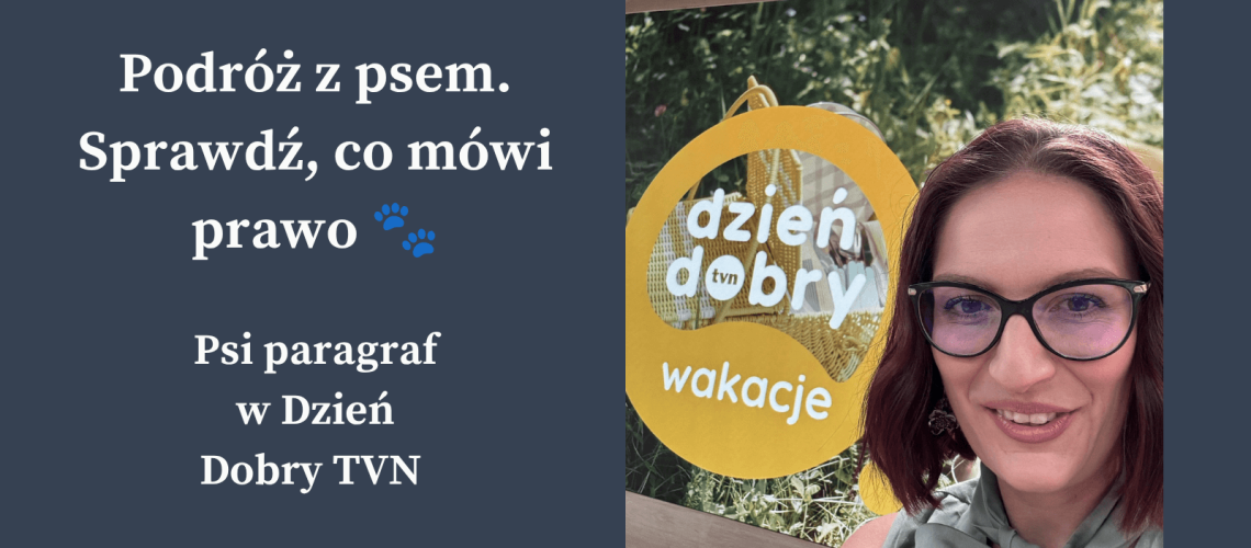 Psi paragraf w Dzień dobry TVN (1)