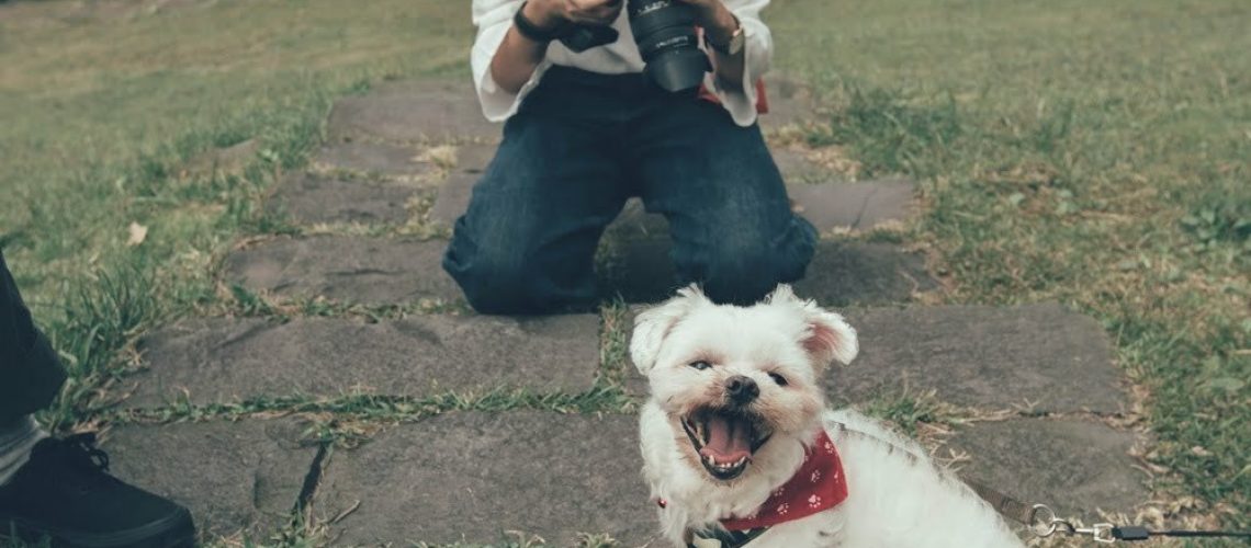 Rabat dla czytelników bloga