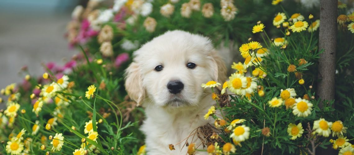 ZKWP w Zielonej Górze