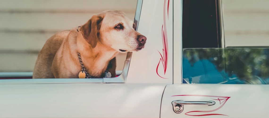 Zniesiono obowiązek miareczkowania na granicy z Ukrainą